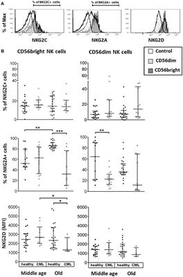 Effect of Age on NK Cell Compartment in Chronic Myeloid Leukemia Patients Treated With Tyrosine Kinase Inhibitors